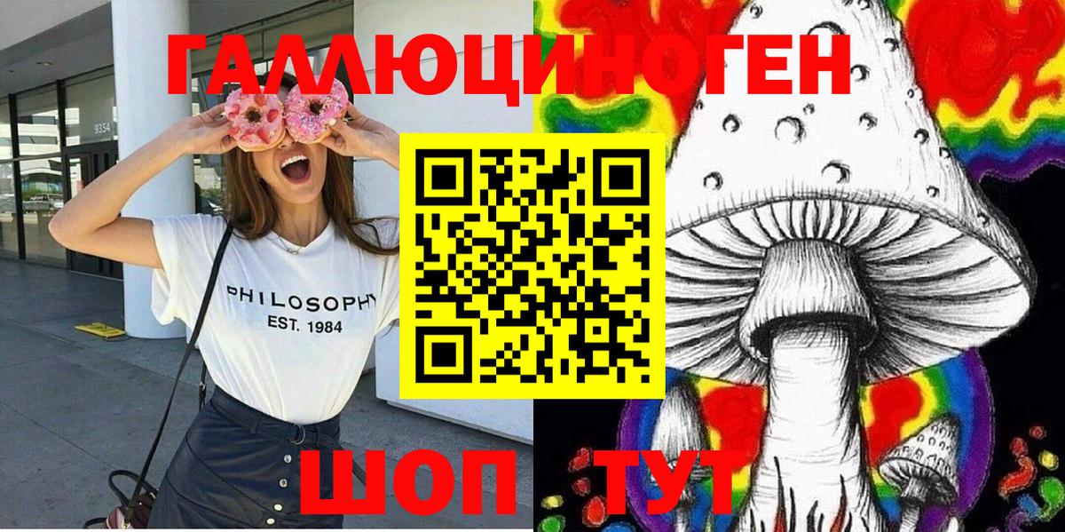 Псилоцибиновые грибы мицелий Вятские Поляны